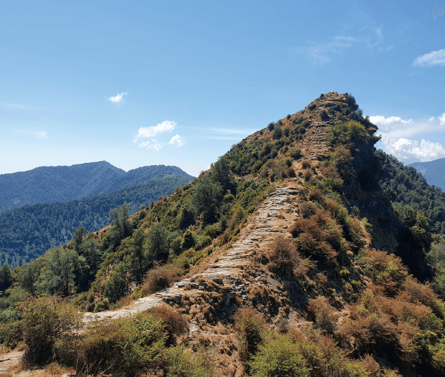 Itinéraire E : Piazzole, Bunifaziu, Alzi, Monte d'Olmo, Rosumarinu