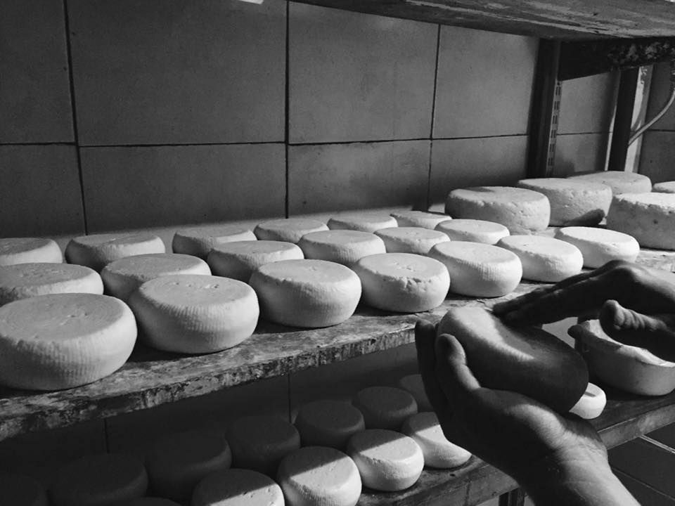 Fromages