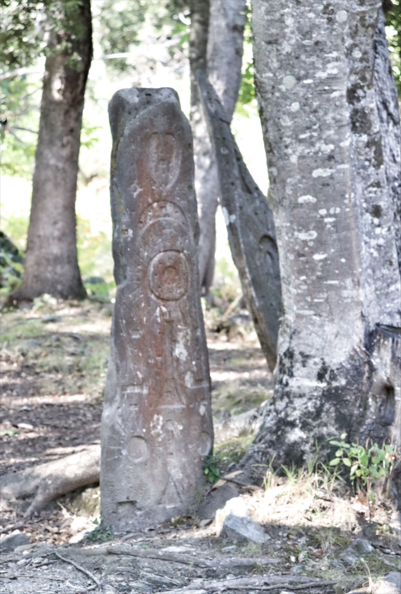 Stèles gravées de Truchinacce  - Photo 2