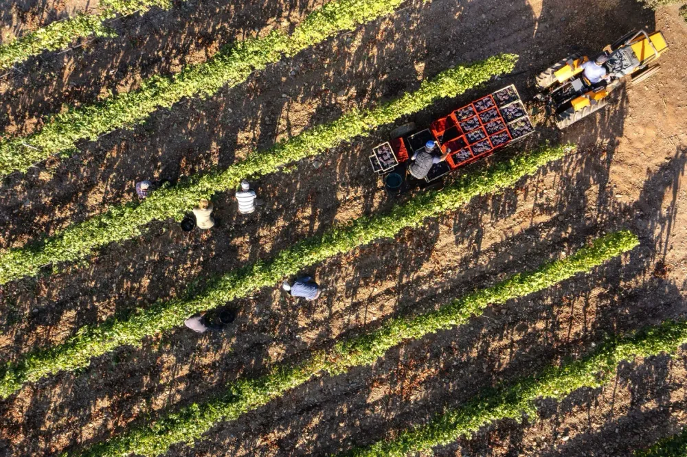 Domaine Falcucci