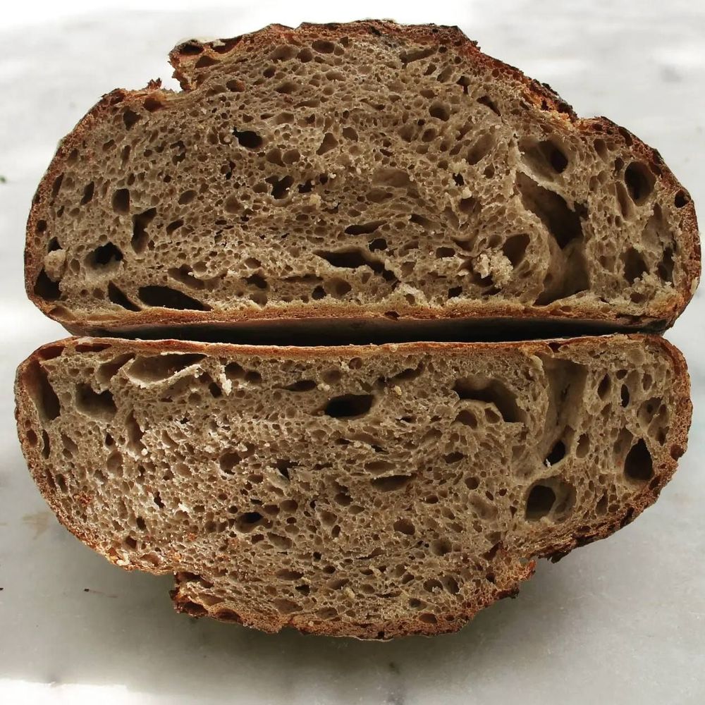 Pane Neru