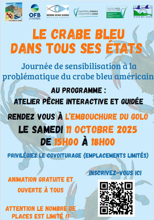 Le crabe bleu dans tous ses états !