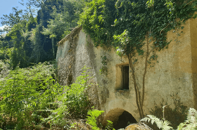 Itinéraire F : Couvent d'Orezza,  Petricaggio, Nocario, Chapelle Saint-Christophe, Verdese