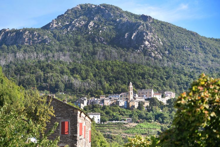 Itinéraire A : Castellare-di-Casinca, Penta-di-Casina, Porri, Silvareccio, Casalta, Piano, La Porta