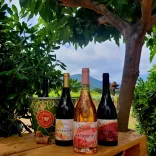 Domaine Falcucci
