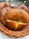 Pane Neru