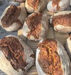 Pane Neru