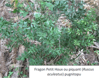 Le sentier patrimonial de la zone Natura 2000 