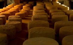 Fromagerie Pierucci